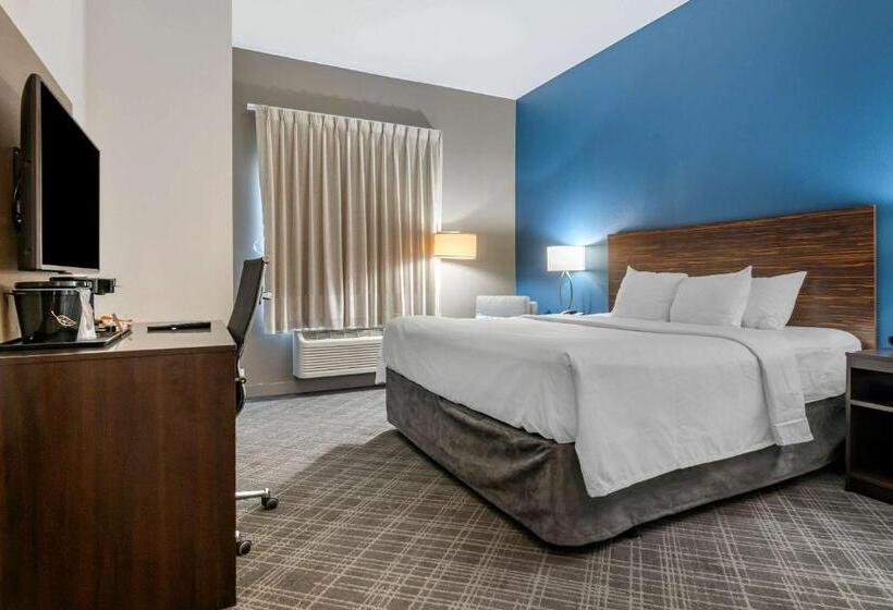 Номер Стандарт Кровать Кинг Адаптированный для Инвалидов, Comfort Inn St Louis Airport