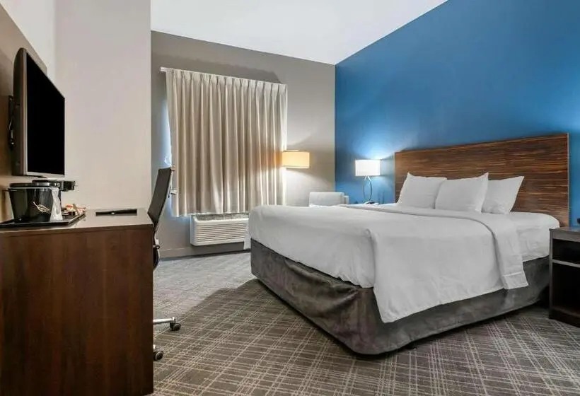 اتاق استاندارد با تخت بزرگ برای معلولان, Comfort Inn St Louis Airport