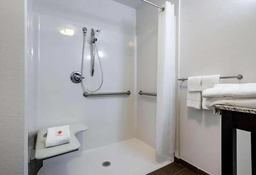 اتاق استاندارد با تخت بزرگ برای معلولان, Comfort Inn St Louis Airport