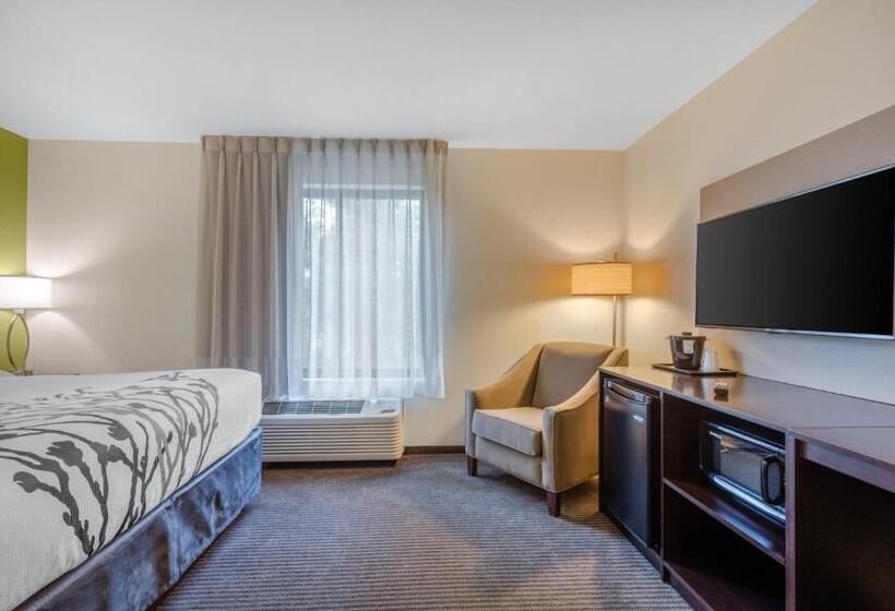 Номер Стандарт Кровать Кинг Адаптированный для Инвалидов, Comfort Inn St Louis Airport