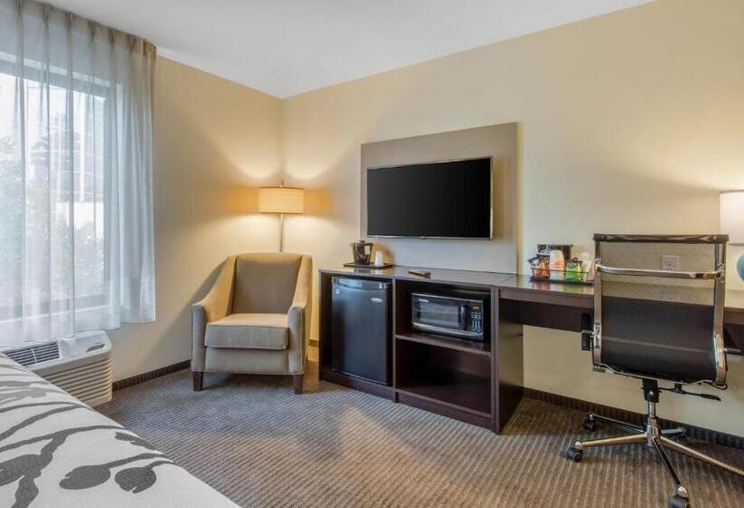 Номер Стандарт Кровать Кинг Адаптированный для Инвалидов, Comfort Inn St Louis Airport