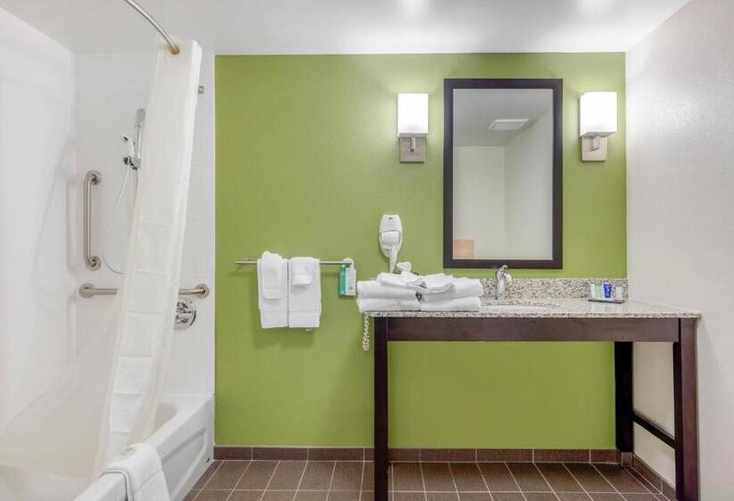 Номер Стандарт Кровать Кинг Адаптированный для Инвалидов, Comfort Inn St Louis Airport