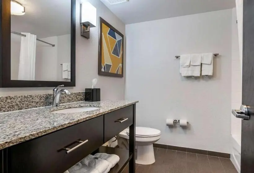 اتاق استاندارد, Comfort Inn St Louis Airport