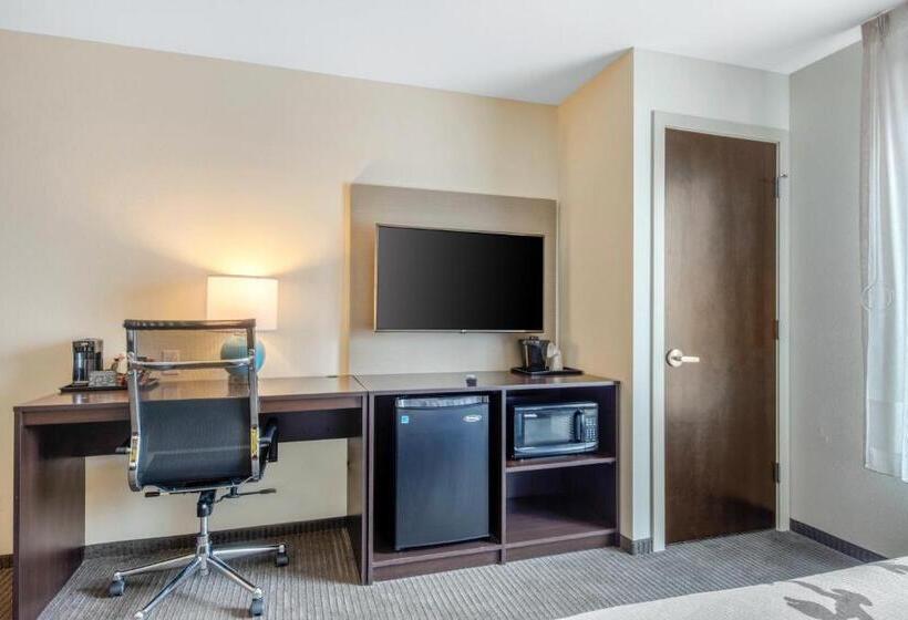Номер Стандарт, Comfort Inn St Louis Airport