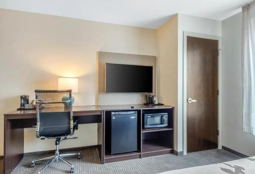 اتاق استاندارد, Comfort Inn St Louis Airport