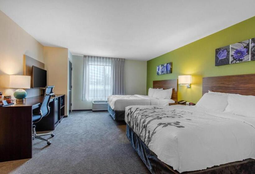 标准间, Comfort Inn St Louis Airport