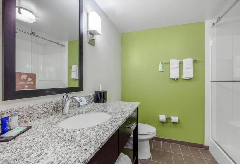 标准间, Comfort Inn St Louis Airport