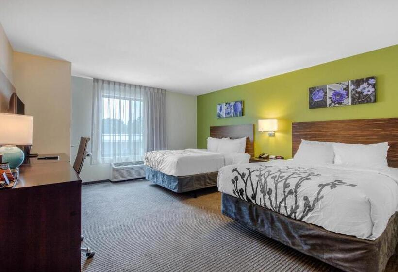 Номер Стандарт, Comfort Inn St Louis Airport
