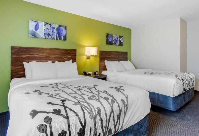 Номер Стандарт, Comfort Inn St Louis Airport