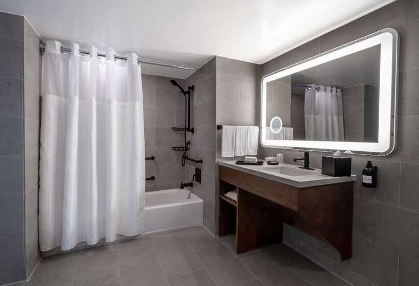 Quarto Estandar, The Porter Portland, Curio Collection By Hilton