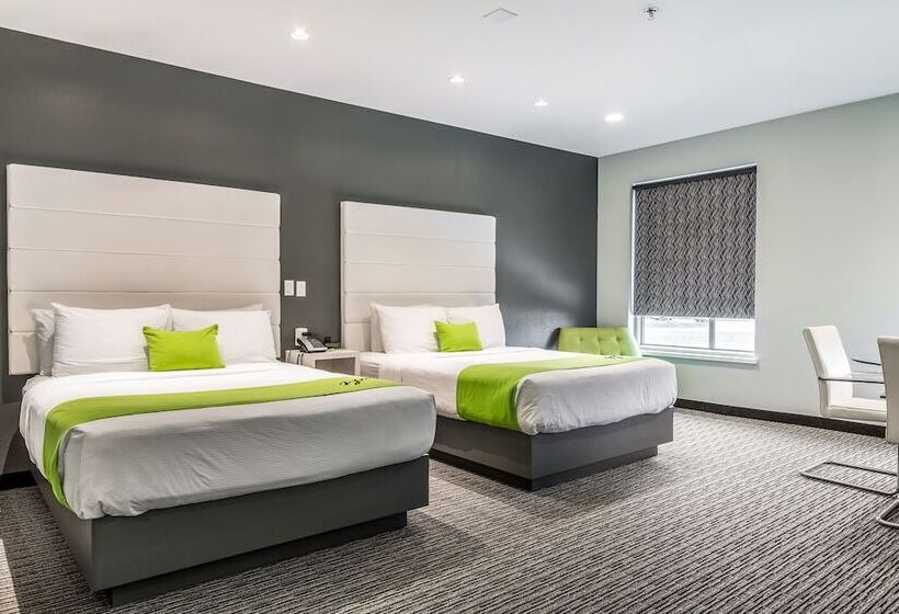 غرفه قياسيه سريرين مزدوجين, The Wallhouse Hotel, Ascend Hotel Collection