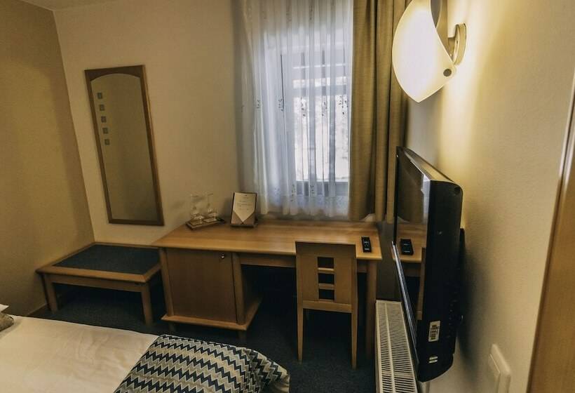 اتاق عادی, Vila Triglav