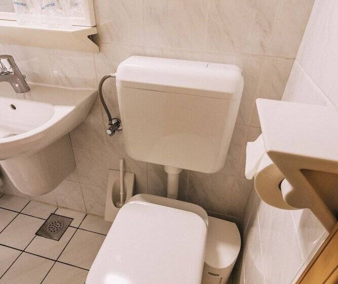 اتاق خانوادگی, Vila Triglav