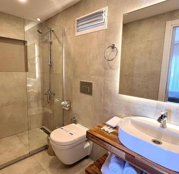 חדר סופריור, Lavinya Otel