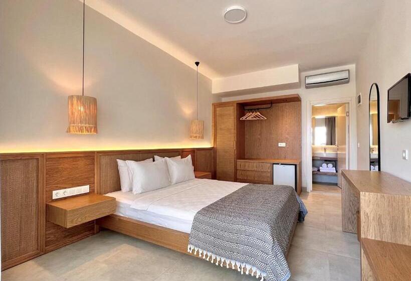 חדר סופריור, Lavinya Otel