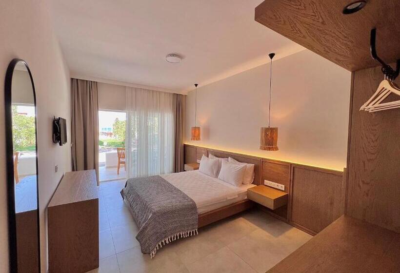 חדר סופריור, Lavinya Otel