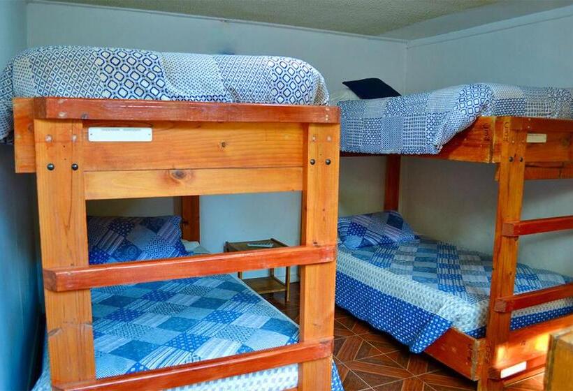 Кровать в Общей Комнате, Hostal Michel