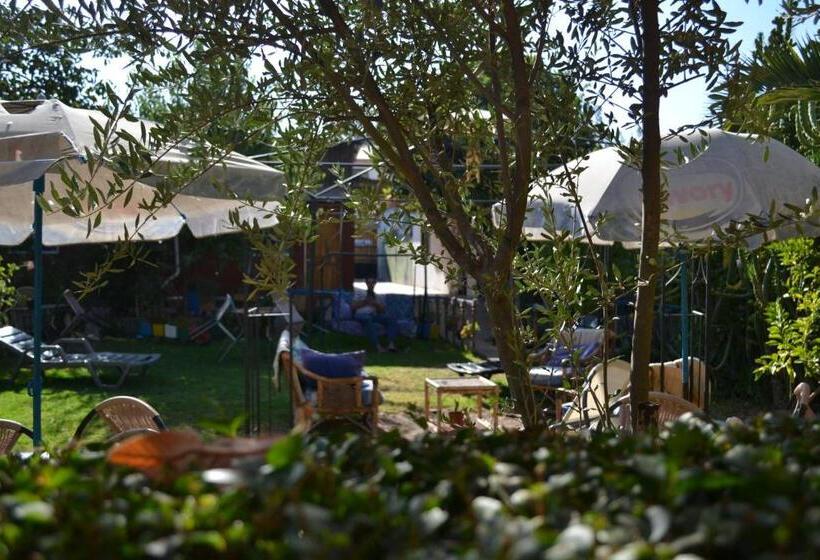 Кровать в Общей Комнате, Hostal Michel