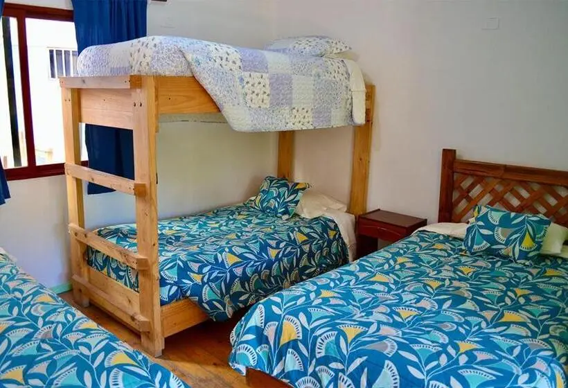 Standard Neljän Hengen Huone, Hostal Michel