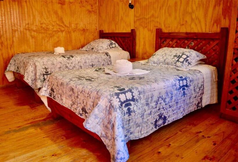 غرفة قياسية, Hostal Michel