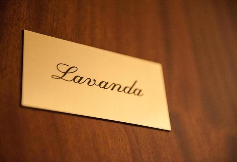 豪华海景房, Bed And Breakfast Sapore Di Sale