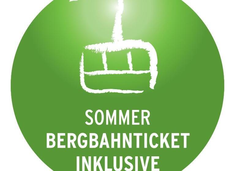 غرفة كلاسيكية فردية, Bellevue