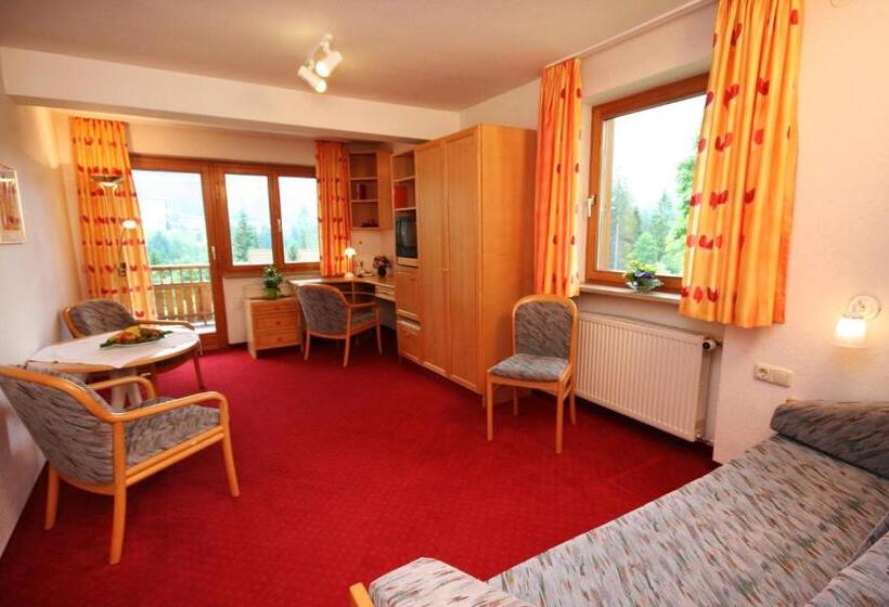 جناح مطلّ علي الجبل, Bellevue