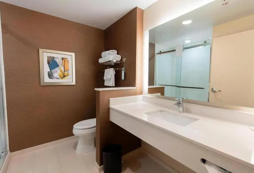 キングサイズベッドのスタンダードルーム, Fairfield Inn & Suites By Marriott Atlanta Woodstock