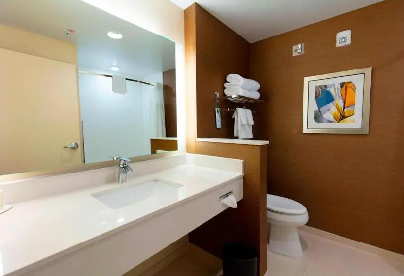 キングサイズベッドのスタンダードルーム, Fairfield Inn & Suites By Marriott Atlanta Woodstock