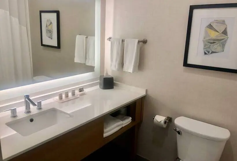 身障者適用スイートルーム, Holiday Inn & Suites Houston Nw Willowbrook By Ihg