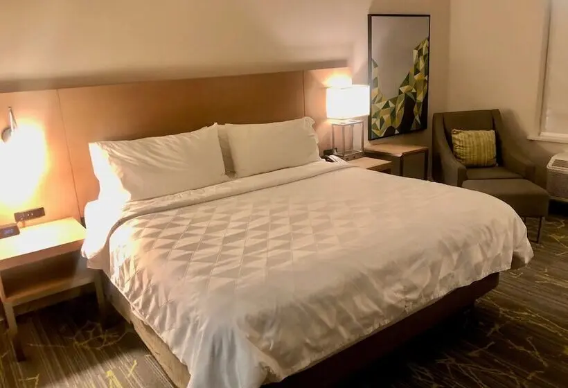 身障者適用スイートルーム, Holiday Inn & Suites Houston Nw Willowbrook By Ihg
