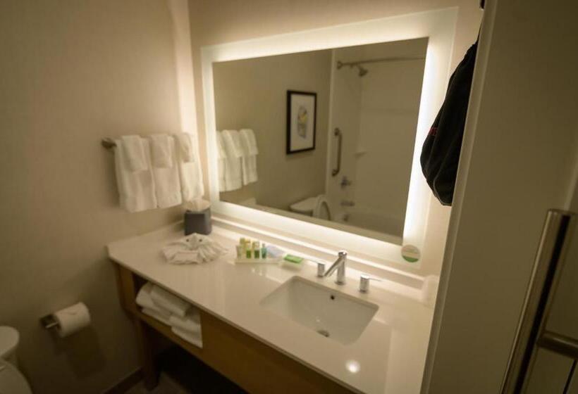 غرفة قياسية, Holiday Inn & Suites Houston Nw   Willowbrook By Ihg