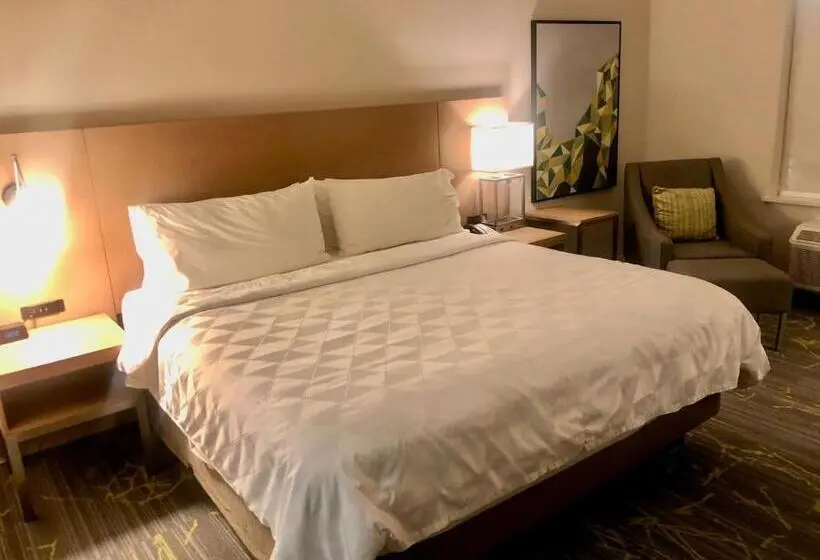 キングサイズベッドのスイートルーム, Holiday Inn & Suites Houston Nw Willowbrook By Ihg
