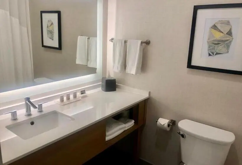 キングサイズベッドのスイートルーム, Holiday Inn & Suites Houston Nw Willowbrook By Ihg
