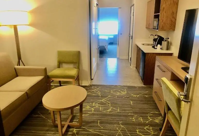 キングサイズベッドのスイートルーム, Holiday Inn & Suites Houston Nw Willowbrook By Ihg