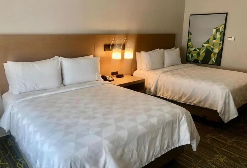 身障者適用スタンダードルーム, Holiday Inn & Suites Houston Nw Willowbrook By Ihg