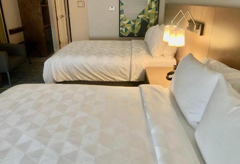 장애인을 위한 스탠다드 룸, Holiday Inn & Suites Houston Nw Willowbrook By Ihg