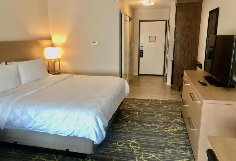 身障者適用キングサイズベッドルーム, Holiday Inn & Suites Houston Nw Willowbrook By Ihg