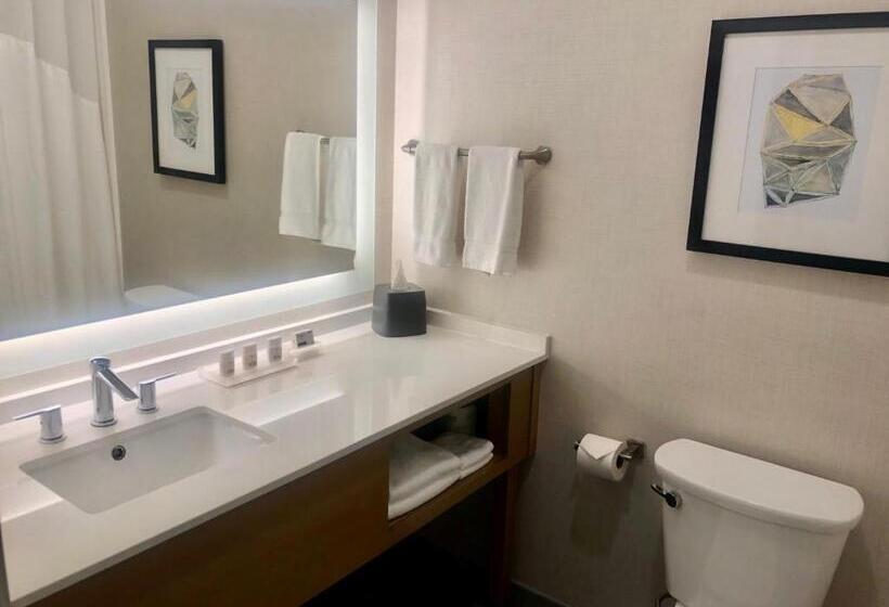 适合残疾人士使用的套间, Holiday Inn & Suites Houston Nw   Willowbrook By Ihg