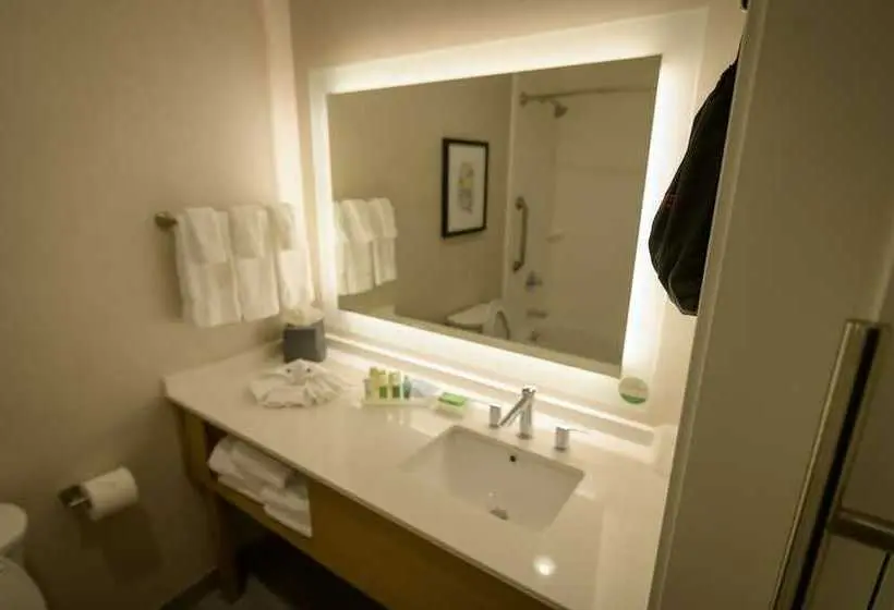 スタンダードルーム, Holiday Inn & Suites Houston Nw Willowbrook By Ihg