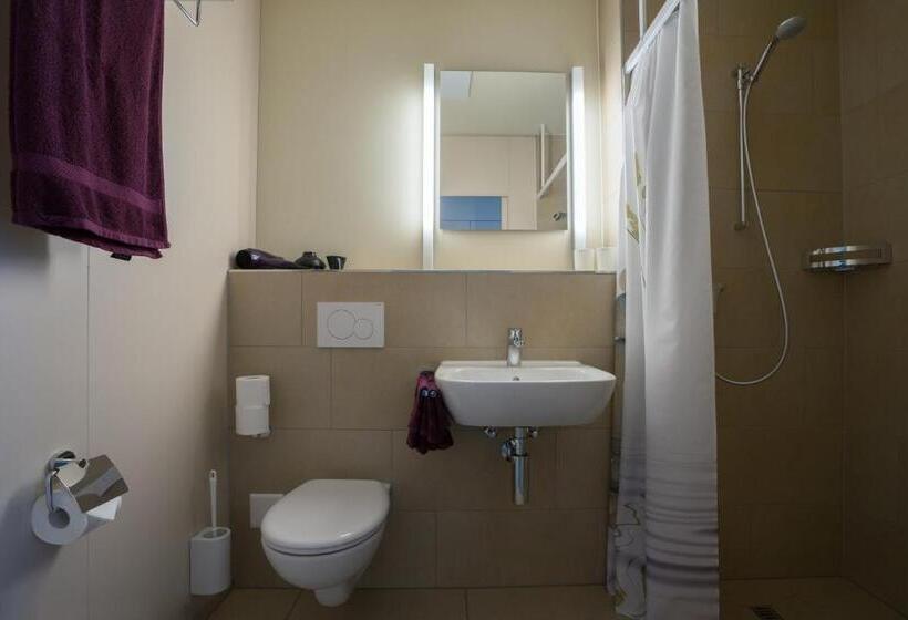 شقة ديلوكس غرفة واحدة, Wohnmotel   Hinterforst