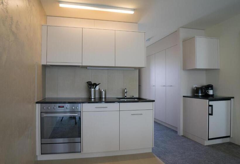 شقة ديلوكس غرفة واحدة, Wohnmotel   Hinterforst