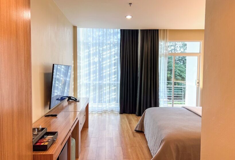 غرفة قياسية, The Kaset