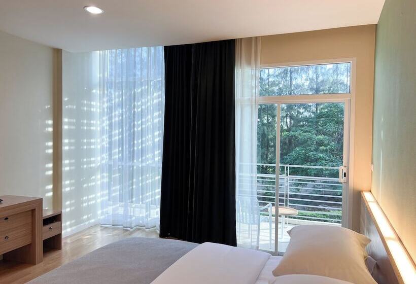 غرفة قياسية, The Kaset