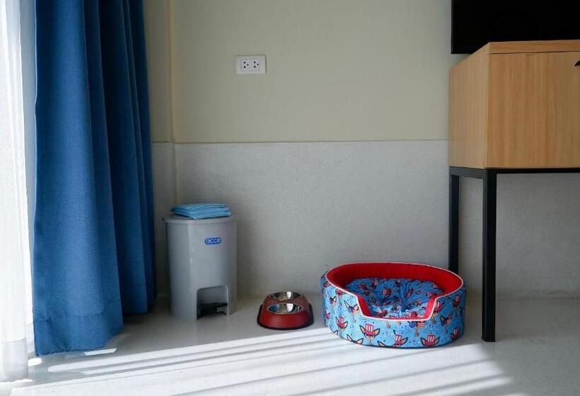 غرفة ديلوكس مطلة على البحيرة, The Kaset