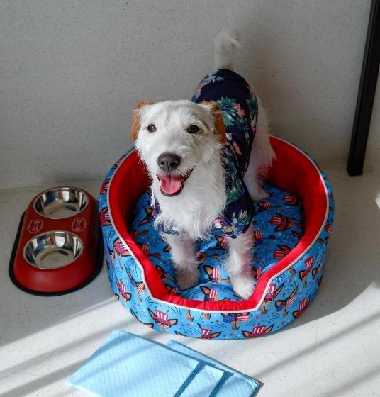 غرفة ديلوكس مطلة على البحيرة, The Kaset