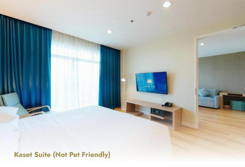 جناح مطلّ علي الجبل, The Kaset