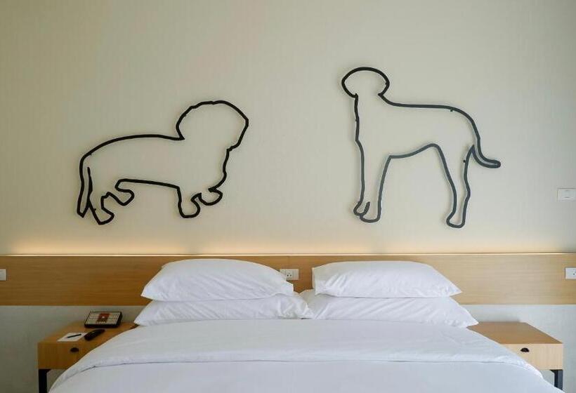 غرفة قياسية مطلّة علي الحديقة, The Kaset