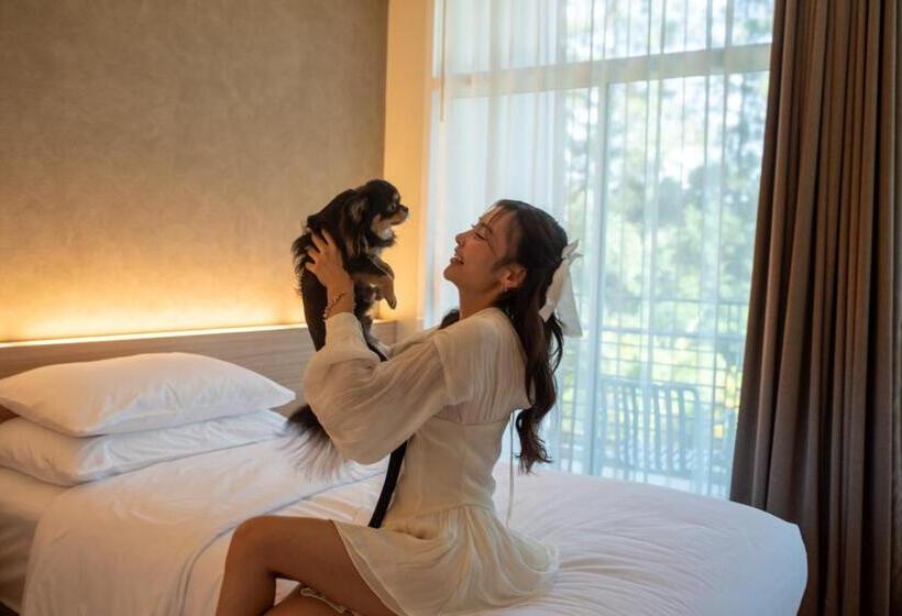 غرفة قياسية مطلّة علي الحديقة, The Kaset