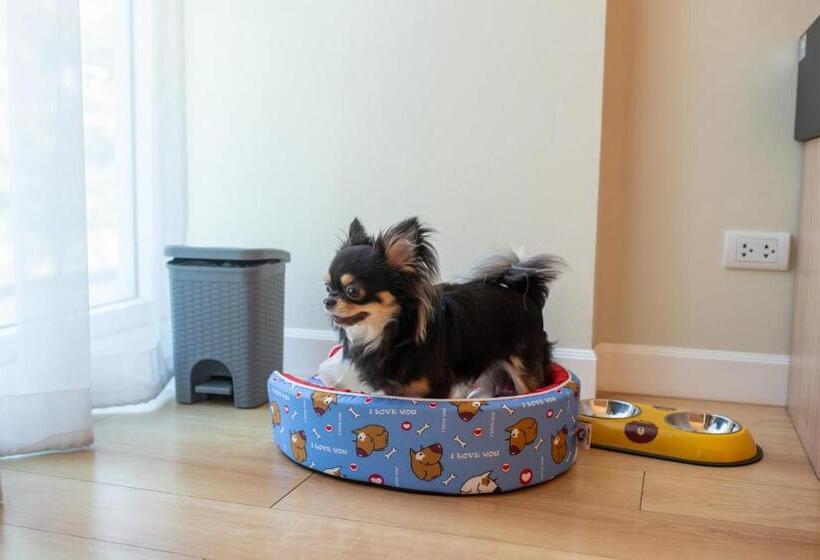 غرفة قياسية مطلّة علي الحديقة, The Kaset